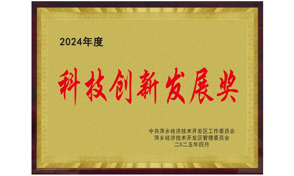 2024年度科技创新发展奖