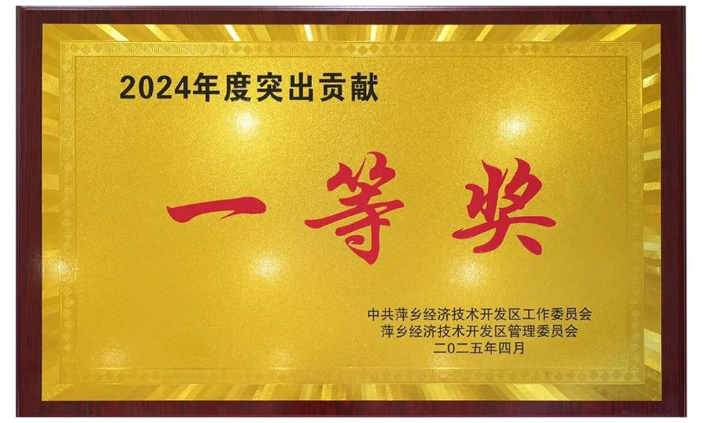 2024年突出贡献奖