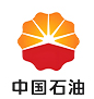 91亚洲国产成人久久精品